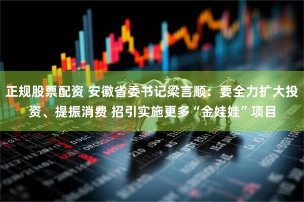 正规股票配资 安徽省委书记梁言顺：要全力扩大投资、提振消费 招引实施更多“金娃娃”项目